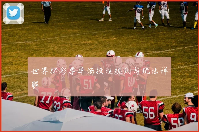 世界杯彩票单场投注规则与玩法详解