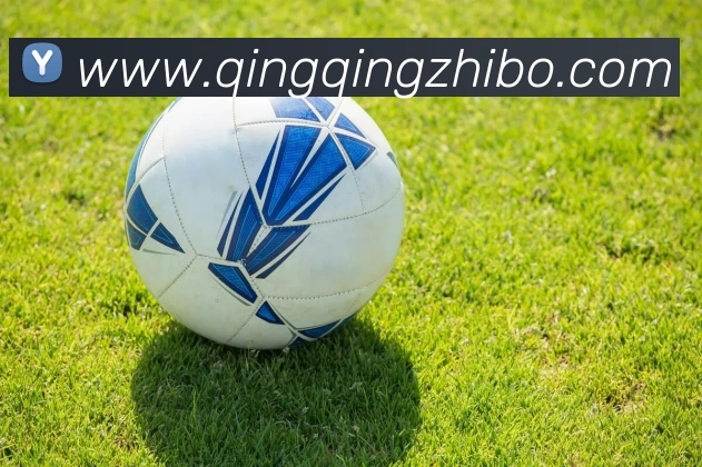 世界杯官网登录app平台生态图